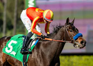 Expora wins the Santa Ynez at Santa Anita.