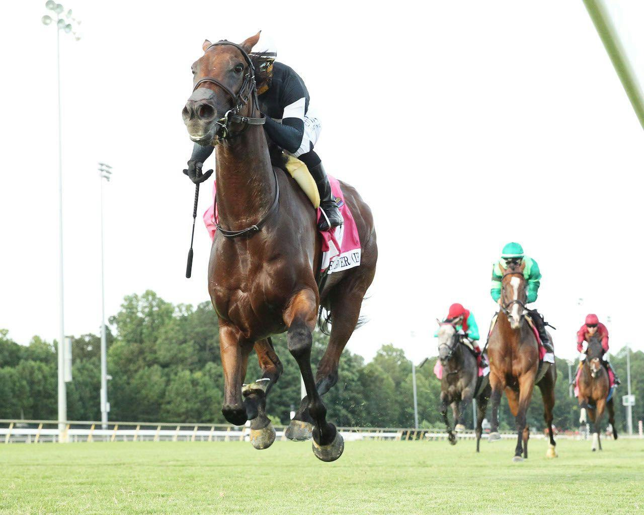 Horse Racing Shirt | I Bet My Horse Will Win