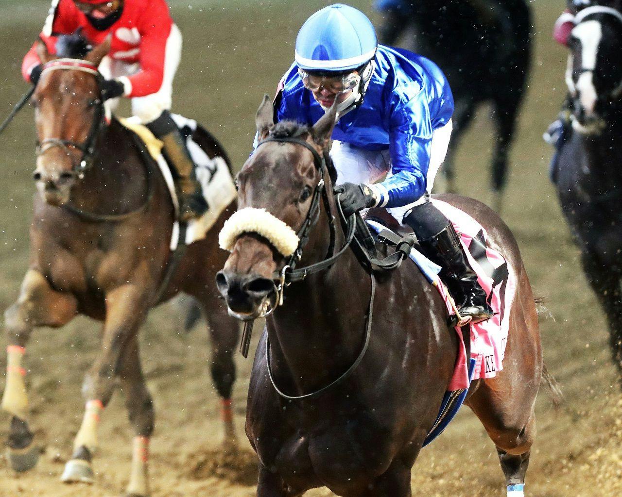 First Resort winning the Kentucky Jockey Club (G2) at Churchill Downs (Photo by Coady Media)