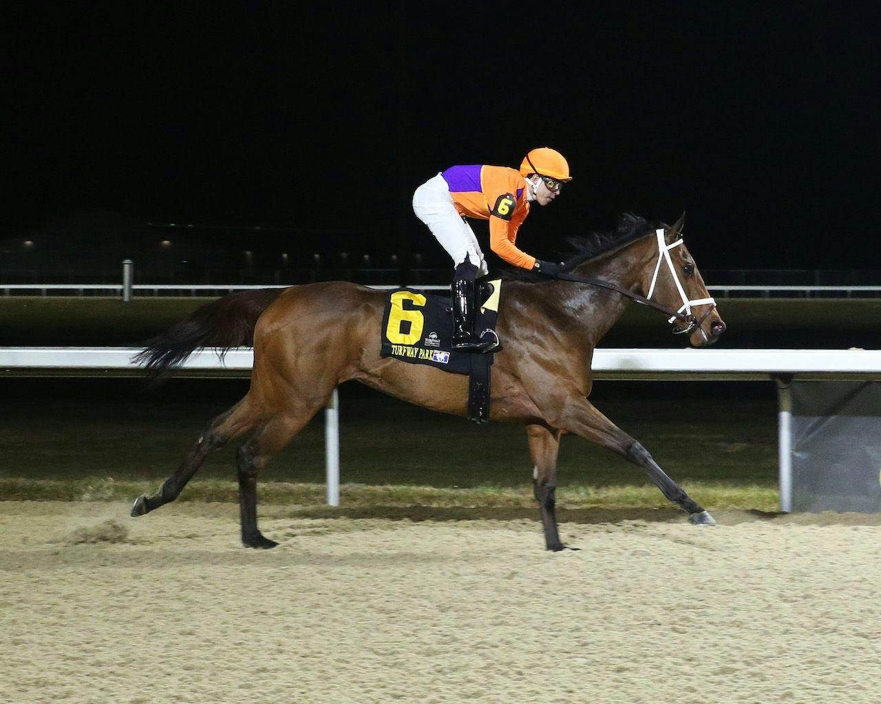 Flashy Gem at Turfway Park 