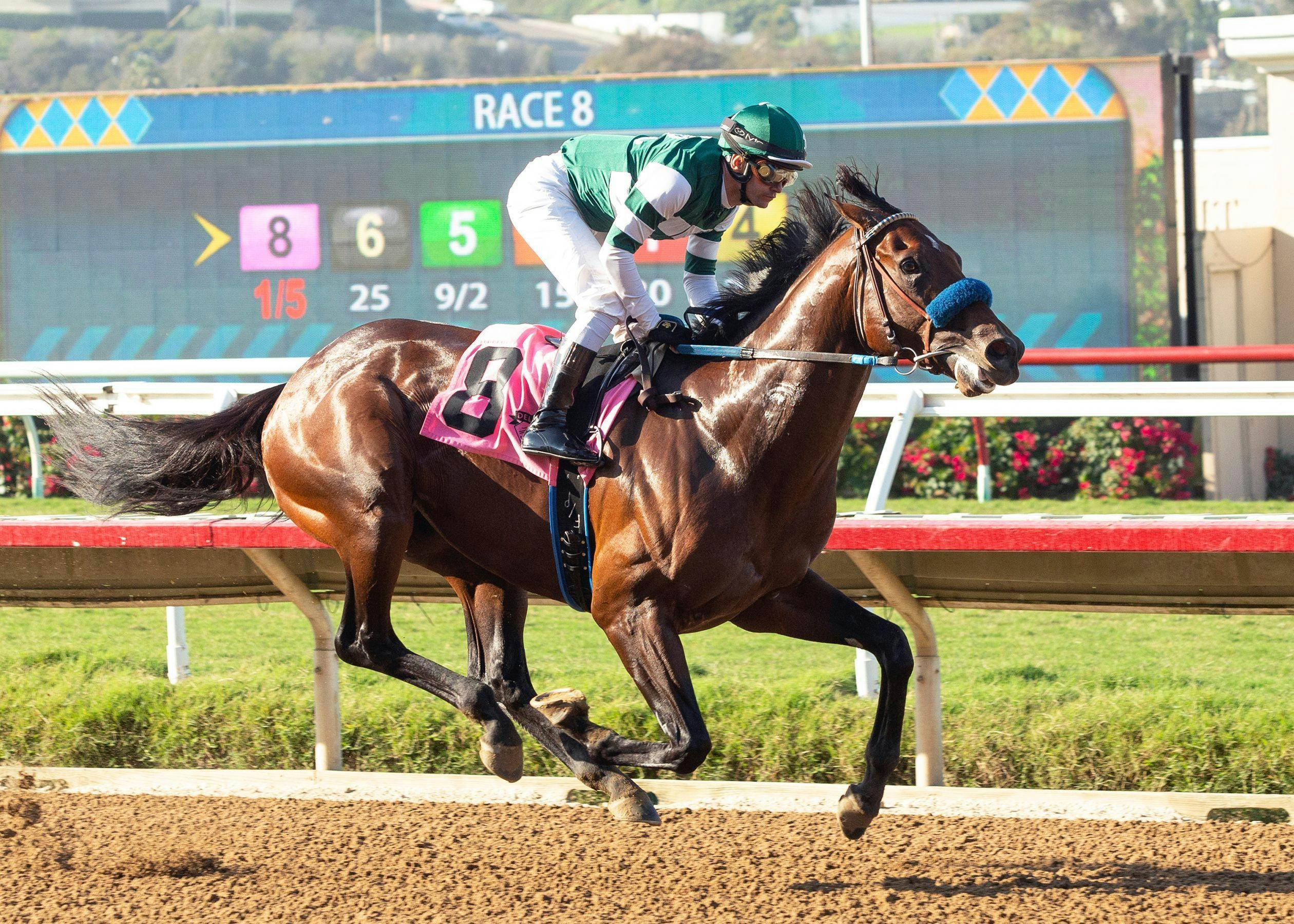 Analyzing the 2022 Breeders' Cup Classic preentries TwinSpires