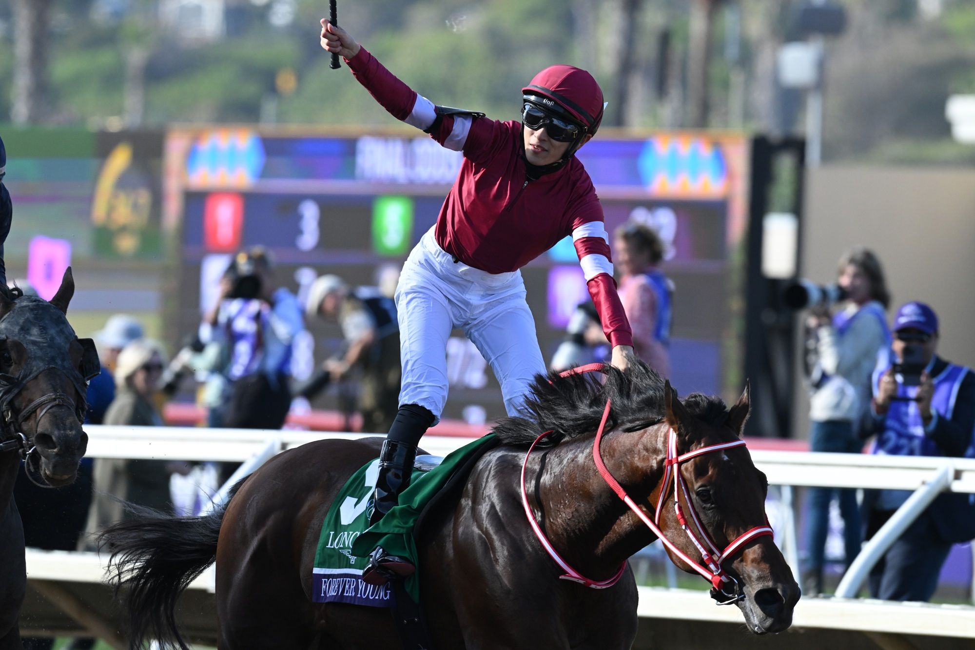 Forever Young winning the Breeders' Cup Classic (G1) at Del Mar