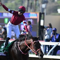 Forever Young winning the Breeders' Cup Classic (G1) at Del Mar