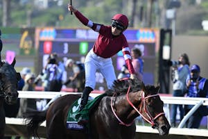 Forever Young winning the Breeders' Cup Classic (G1) at Del Mar