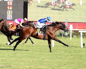 Fort Washington wins the Arlington Million S. at Colonial Downs. 