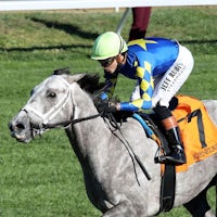 Fulleffort wins at Keeneland.