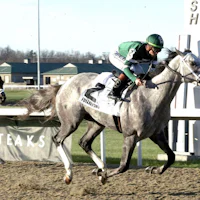 Fulleffort wins the Jeff Ruby Stakes at Turfway Park.