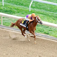 Further Ado wins the Blue Grass Stakes at Keeneland.