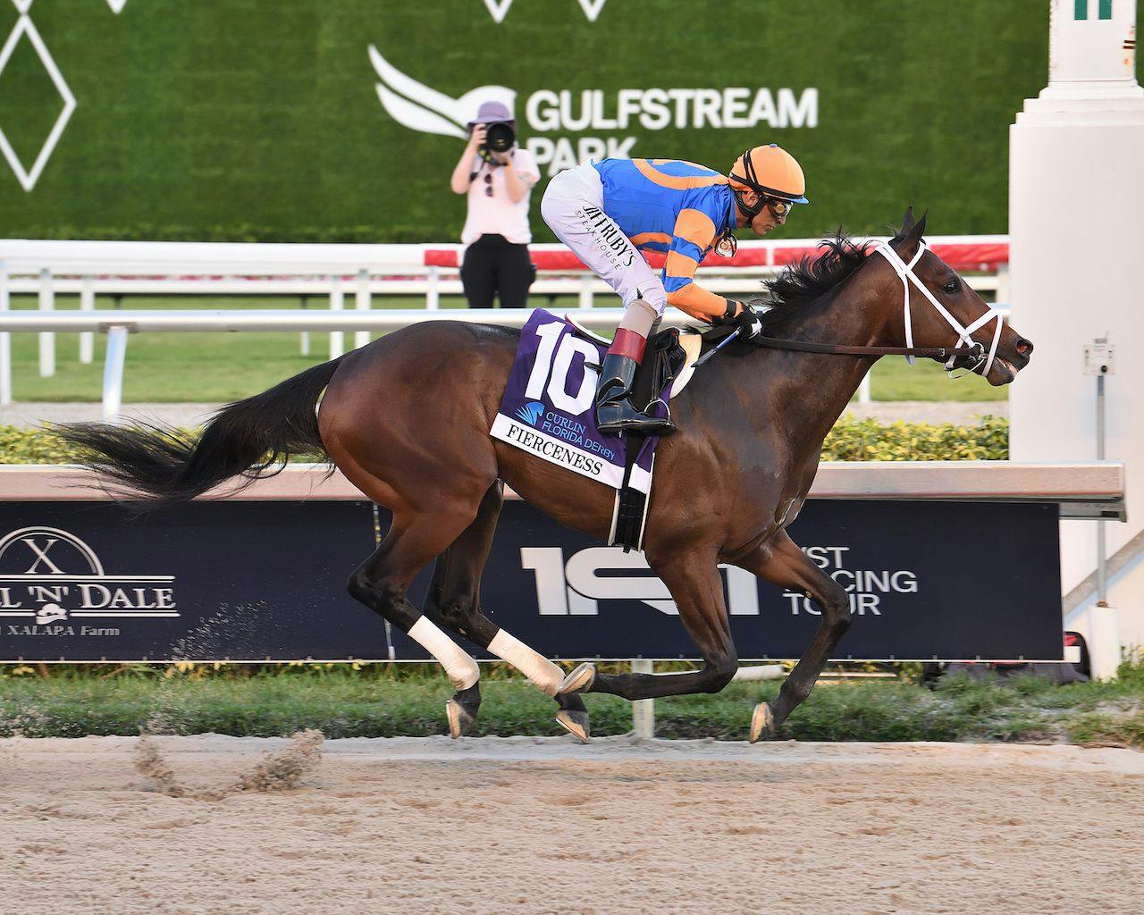 Fierceness wins the Floridia Derby at Gulfstream Park (Photo by Coglianese Photography)
