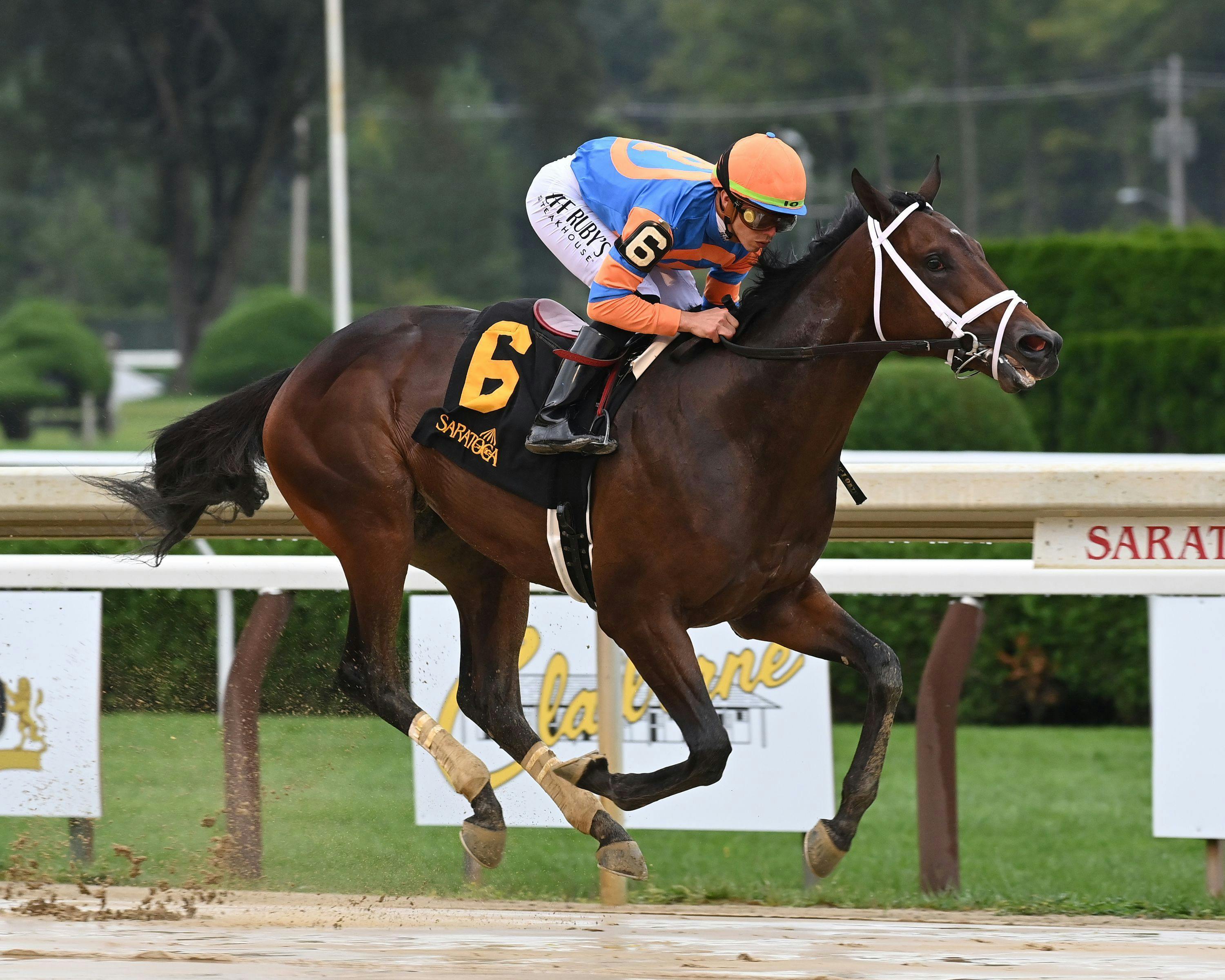 Breeders' Cup Juvenile Maiden Watch Fierceness stuns at Sar TwinSpires