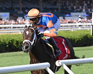 Final Score wired the With Anticipation (G3)