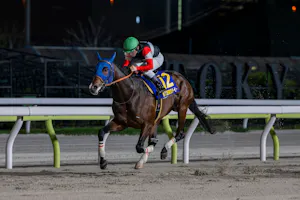 Finger wins the Tokyo Derby