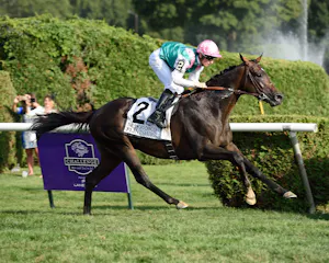 Flintshire wins the 2015 Sword Dancer (G1) for Andre Fabre