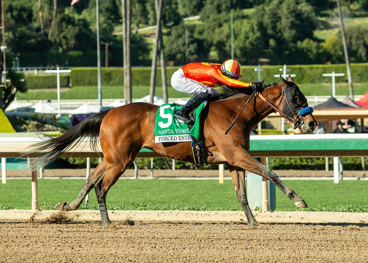 Forced Entry winning the Santa Ysabel (G3) at Santa Anita