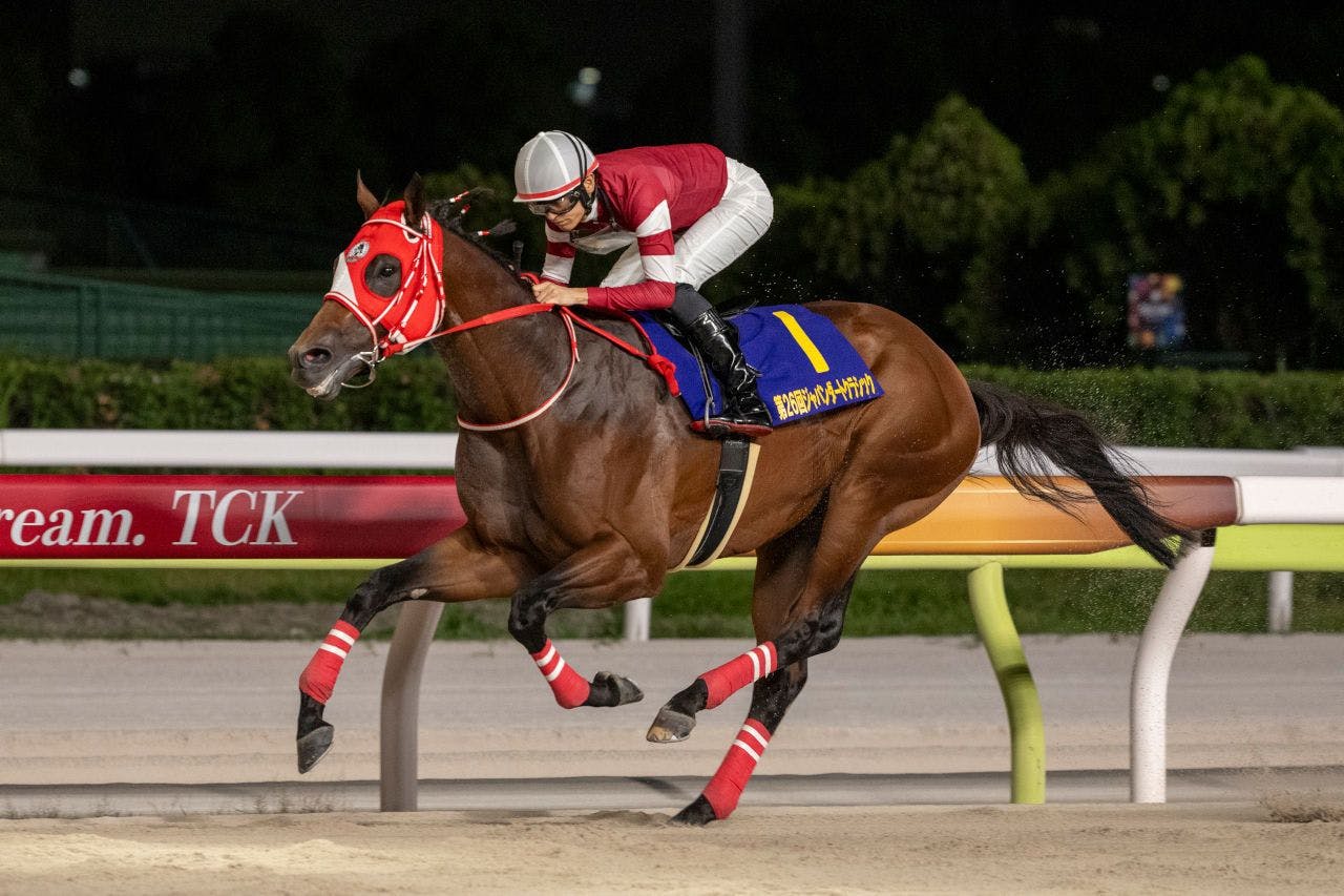 Japan’s 19 contenders at the 2024 Breeders’ Cup TwinSpires