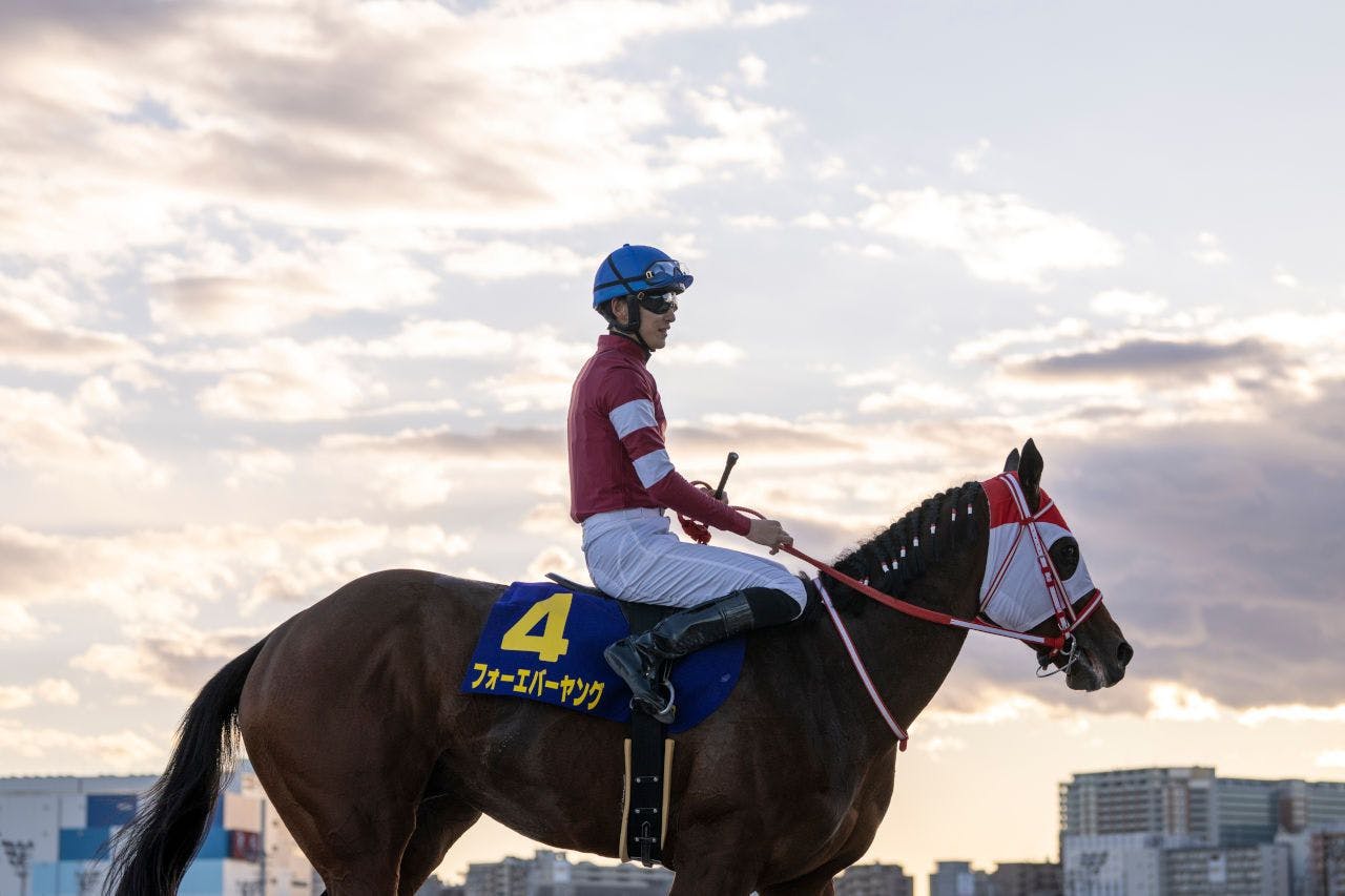 Forever Young cuts a dashing figure with the bright sky behind him at Oi