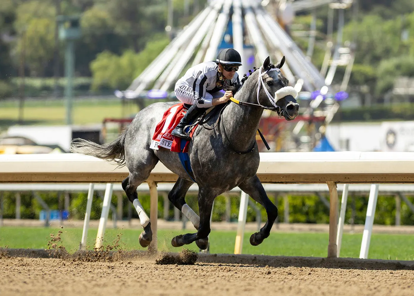 Forged Steel wired the Hollywood Gold Cup by a stakes-record 9 1/2 lengths