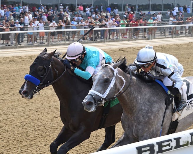 How to bet the 2023 Jim Dandy Stakes TwinSpires