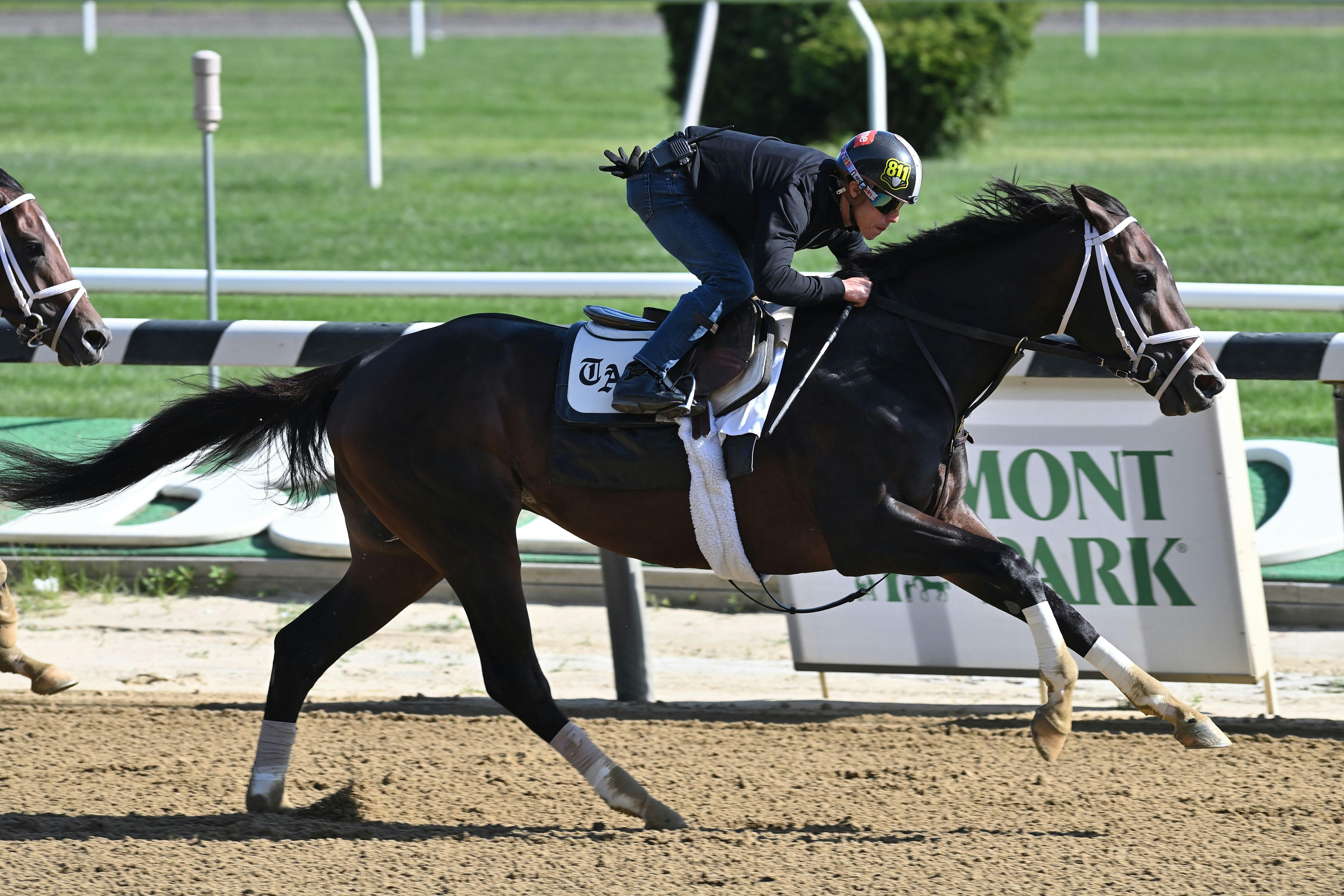 Awesome Speed Preakness updates