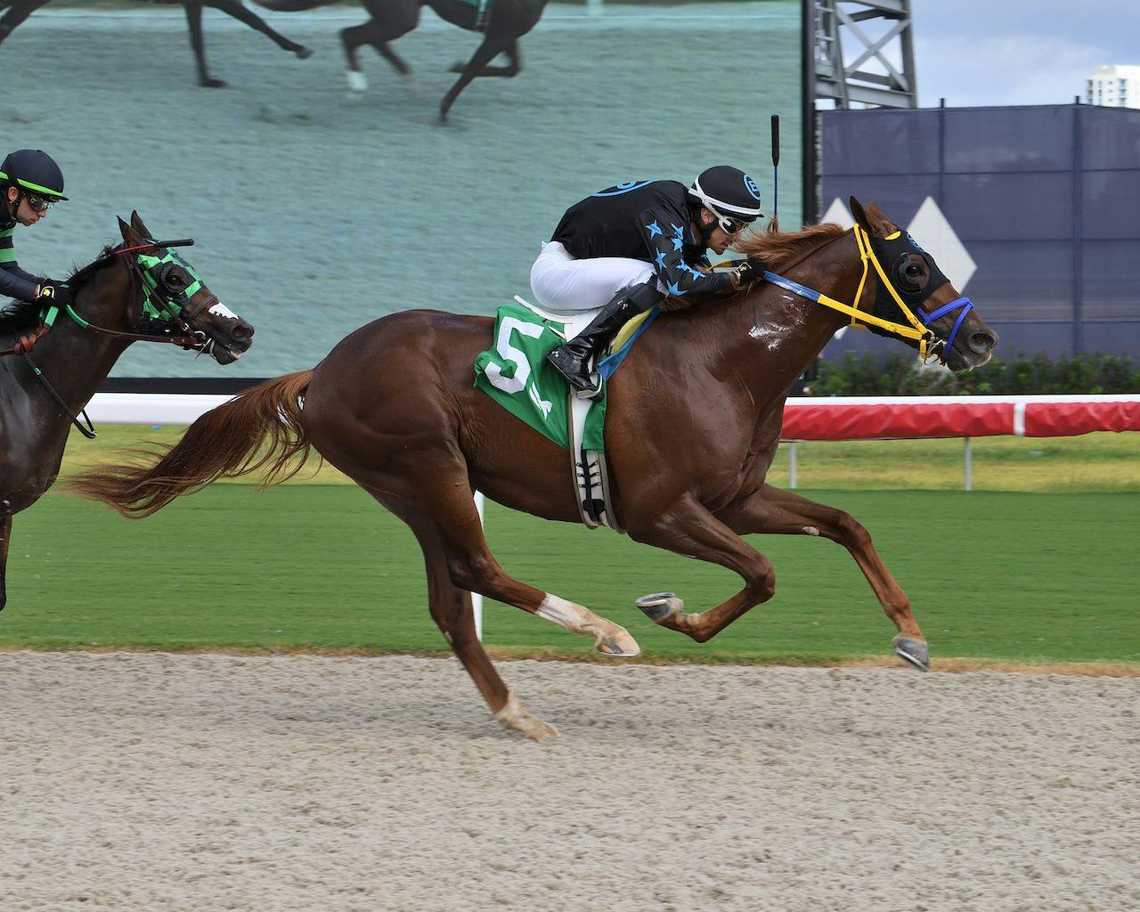 Meet the Contenders 2024 Jeff Ruby Stakes TwinSpires