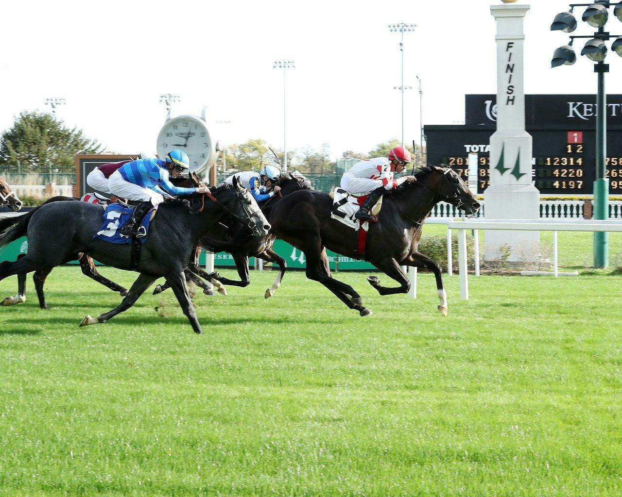 Giocoso winning a grass allowance at Churchill Downs (Photo by Coady Media)