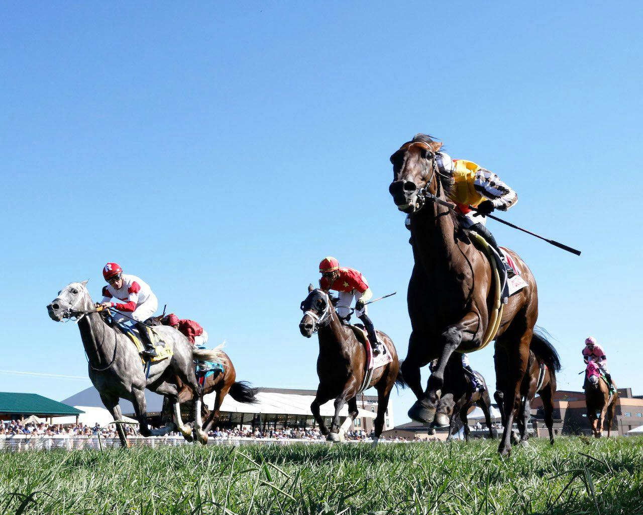 Goliad wins with Cash Equity close behind in the Mint Millions at Kentucky Downs. 