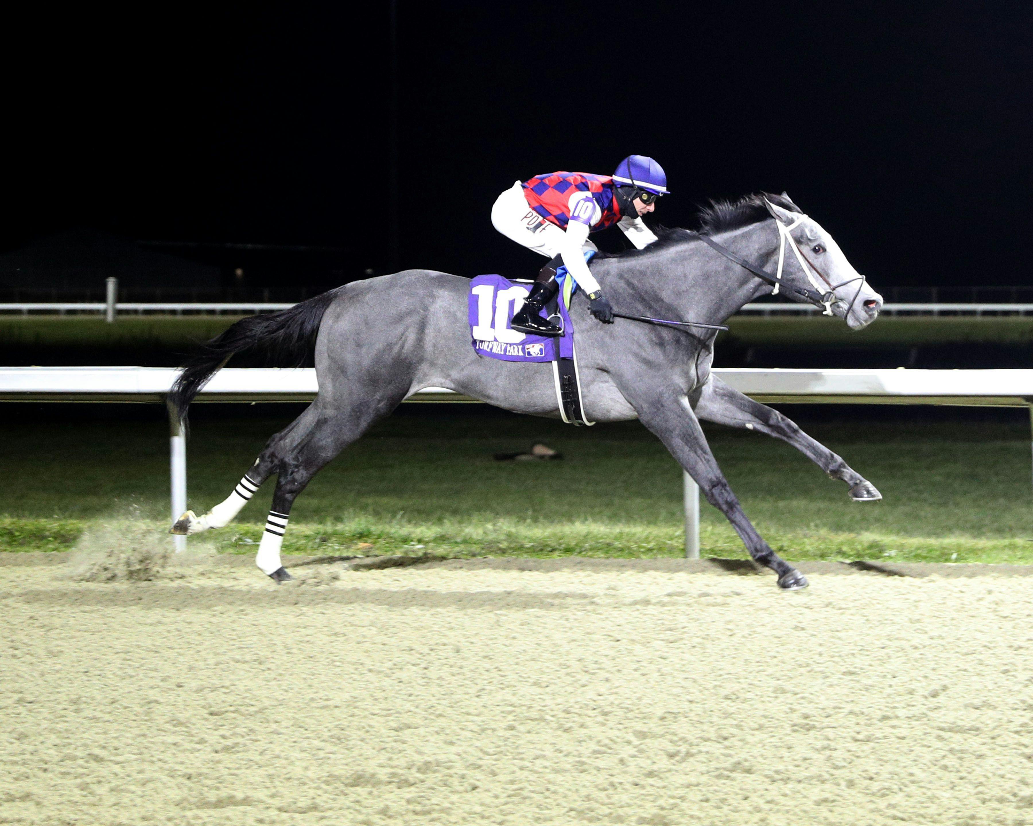 Great White wins the Gary L. Wilfert Memorial at Turfway Park. 