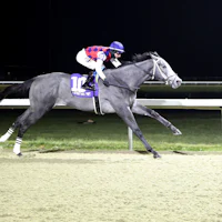 Great White wins the Gary L. Wilfert Memorial at Turfway Park.