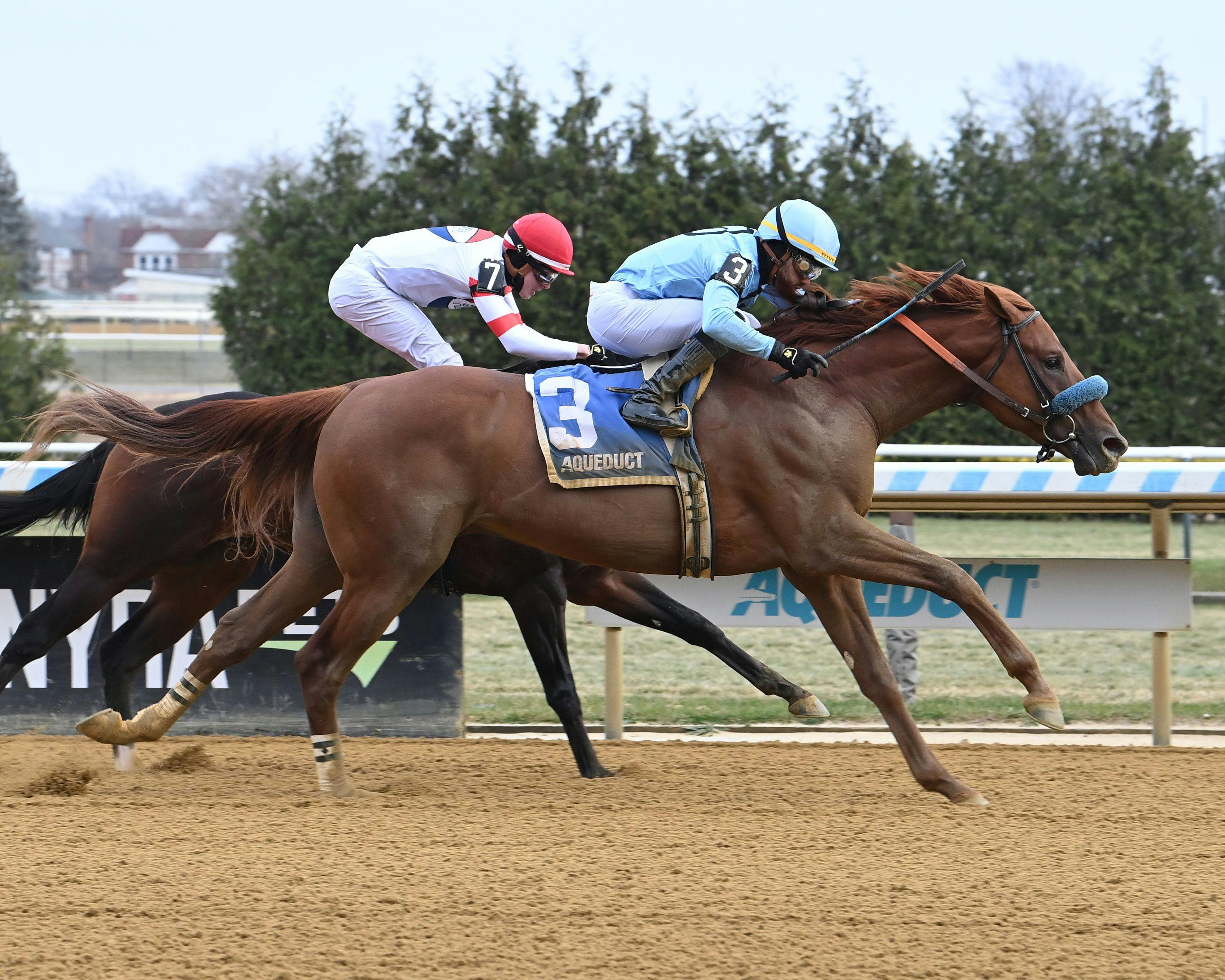 Game For It wins at Aqueduct. 