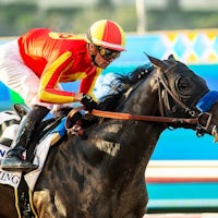 Gaming winning the Del Mar Futurity (G1) at Del Mar (Photo by Benoit Photo)