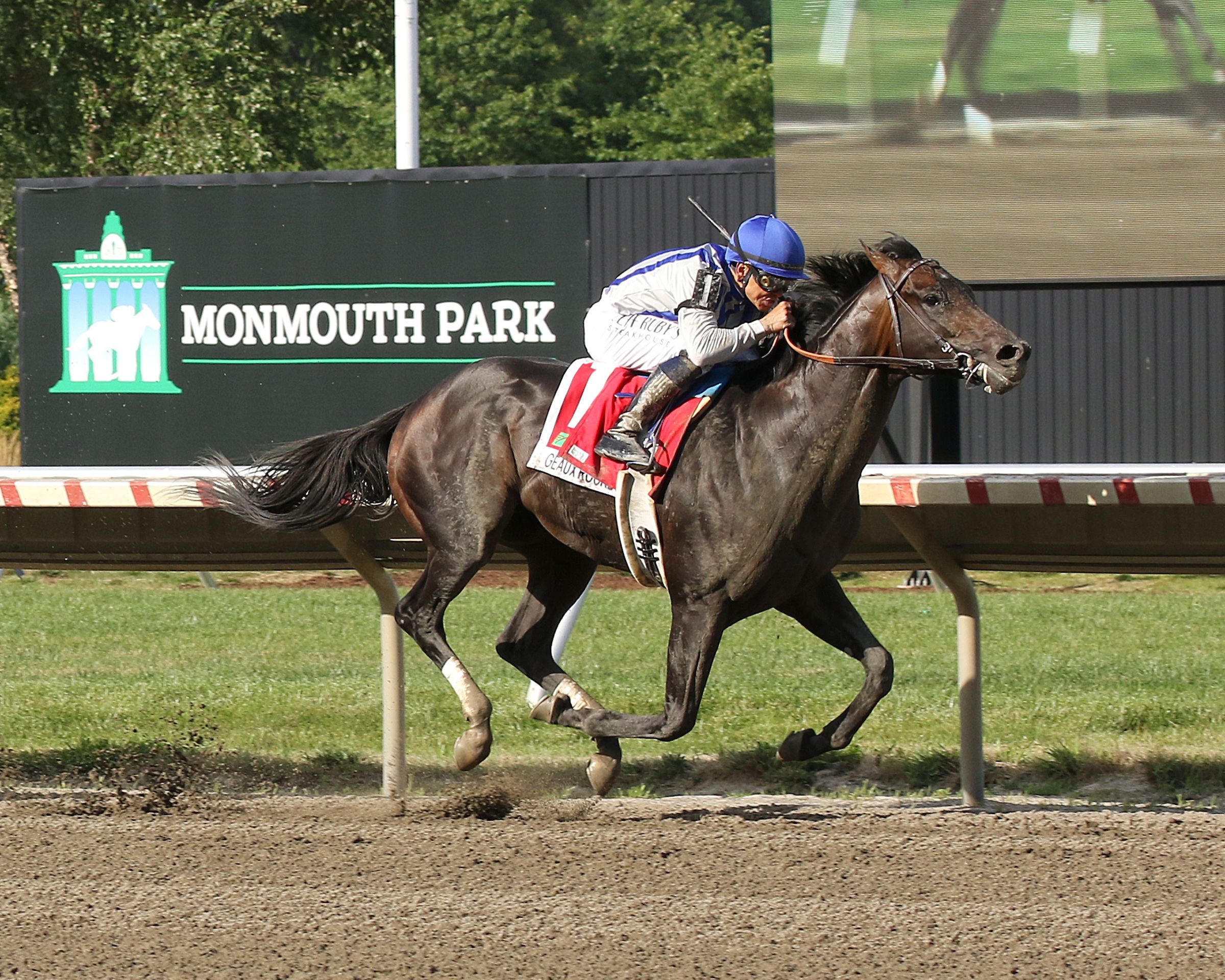 Haskell hero Geaux Rocket Ride became the eighth three-year-old colt to win a Grade 1 this year (