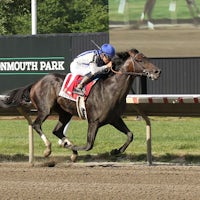 Haskell hero Geaux Rocket Ride became the eighth three-year-old colt to win a Grade 1 this year (
