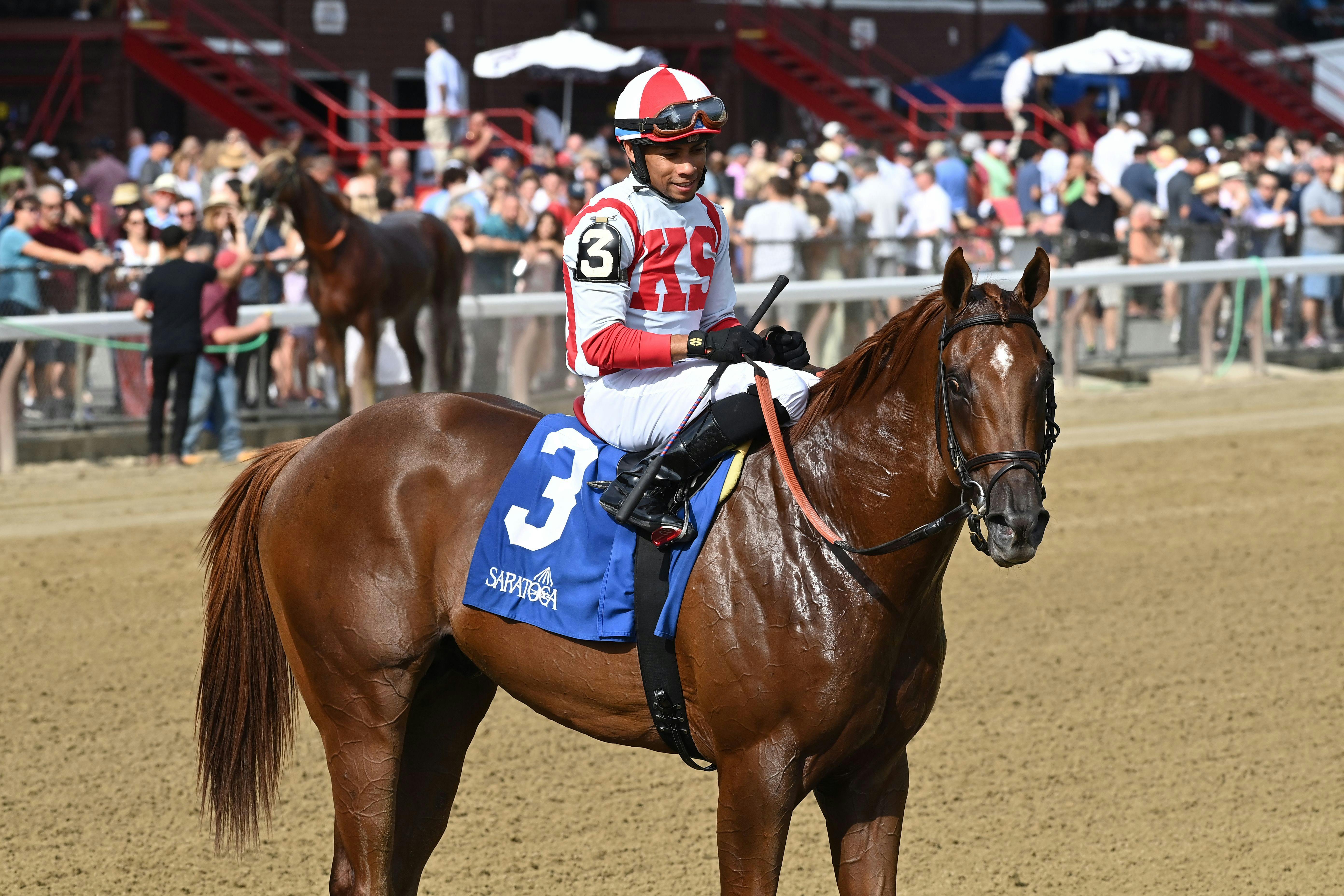 Meet the Contenders 2023 Breeders' Cup Juvenile TwinSpires