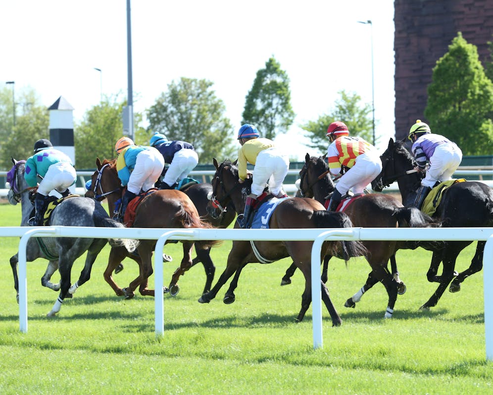 Emily Gullikson's picks for Oct. 20 at Horseshoe Indianapoli TwinSpires