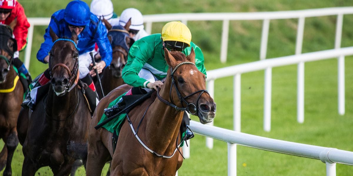 How to calculate the cost of a multirace wager TwinSpires