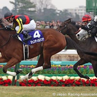 Gentildonna went out on top in the 2014 Arima Kinen (G1)