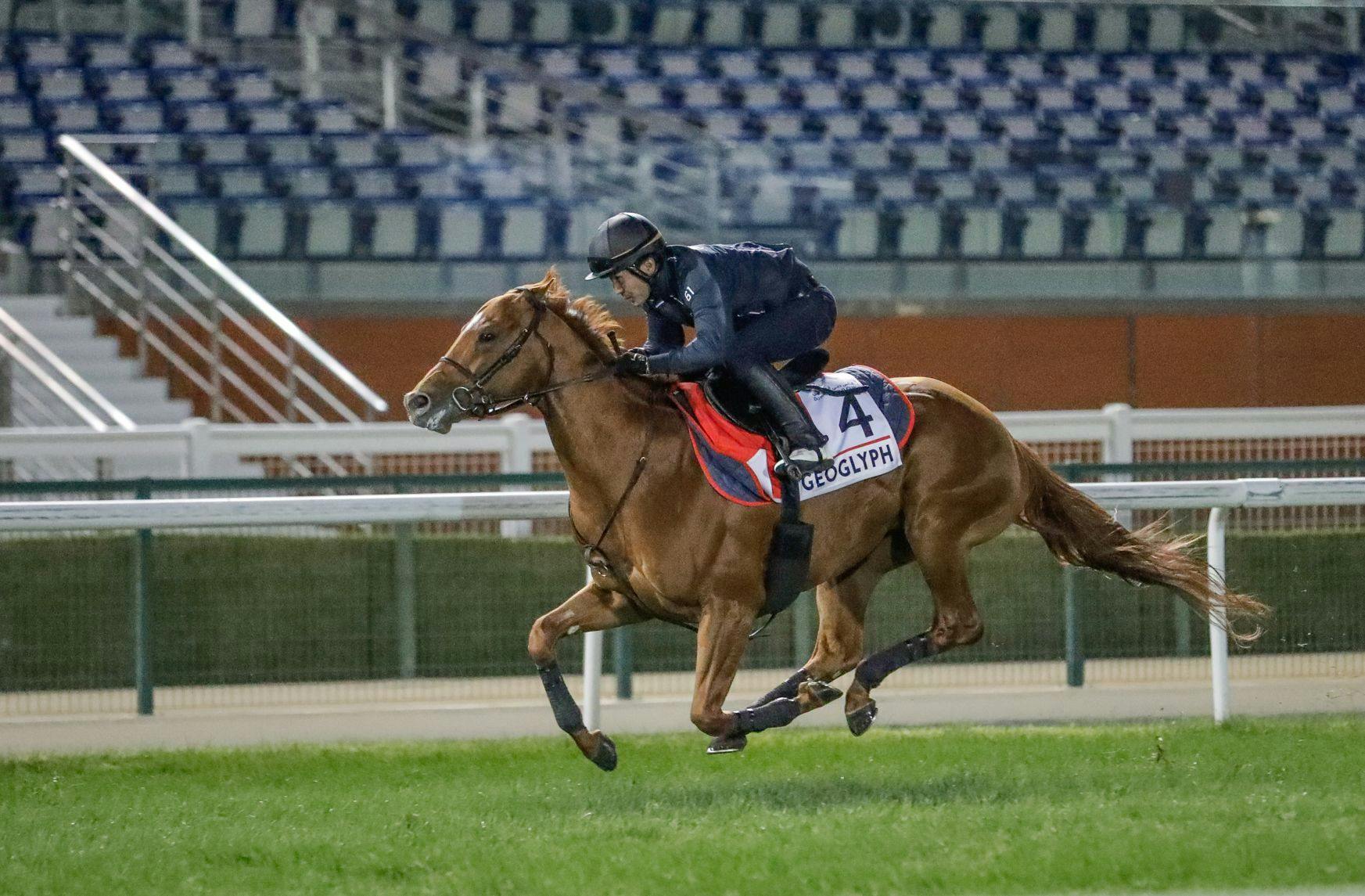 Geoglyph completes a track workout prior to the Dubai World Cup.