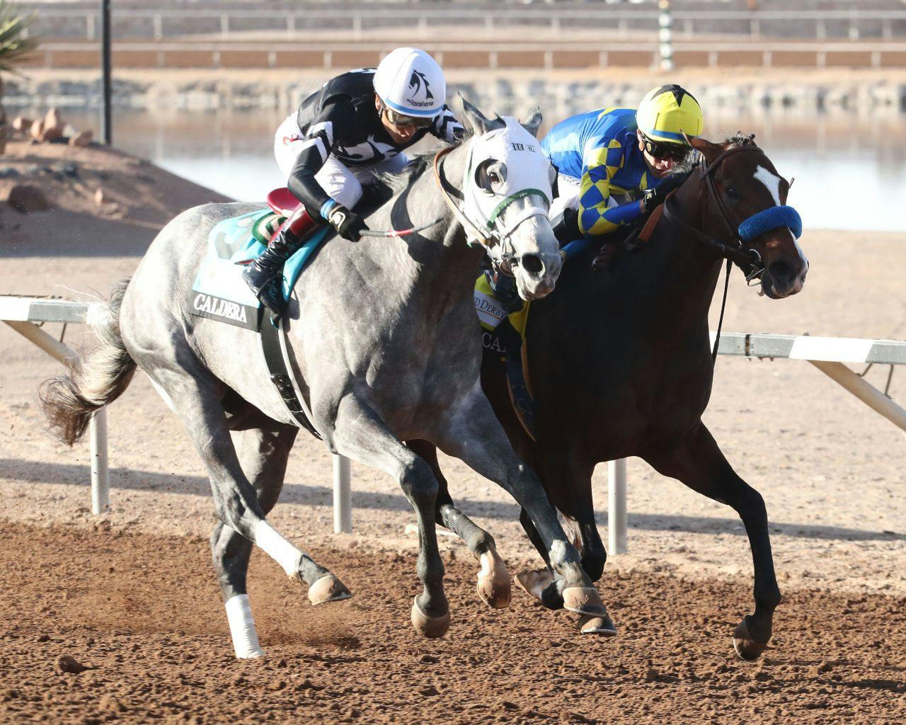 Getaway Car (inside) winning the Sunland Park Derby at Sunland Park (Photo by Coady Media)