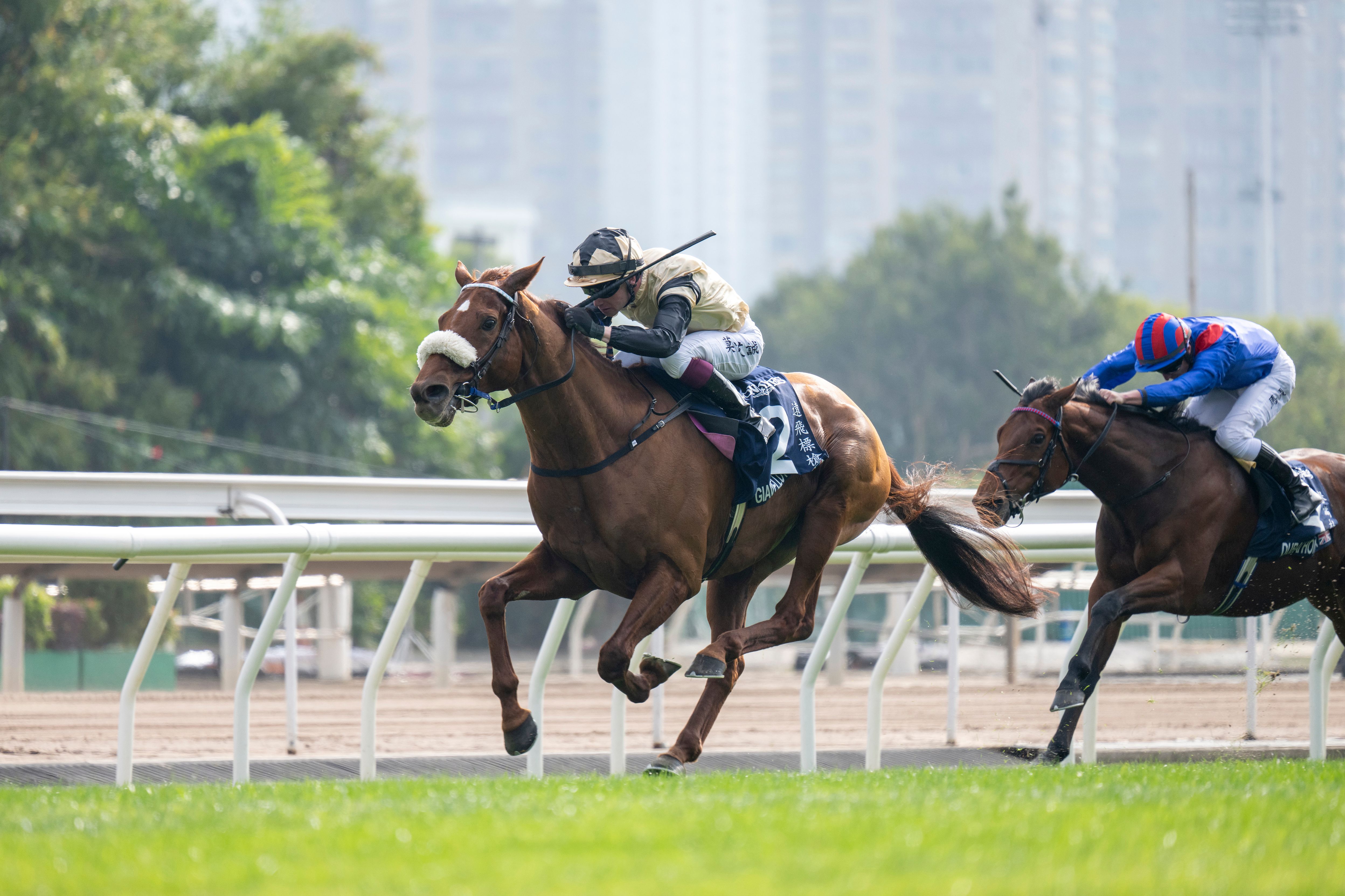 Giavellotto wins the 2024 Hong Kong Vase (G1)