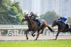 Giavellotto wins the 2024 Hong Kong Vase (G1)