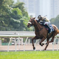 Giavellotto wins the 2024 Hong Kong Vase (G1)
