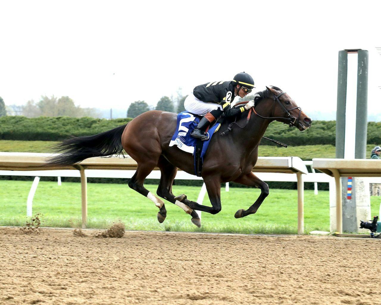Gin Gin wins the Doubledogdare at Keeneland. 