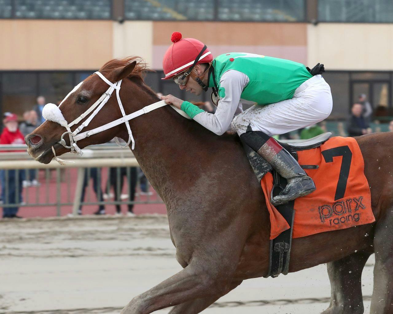 Global Steve wins the Parx Future Stars at Parx. 