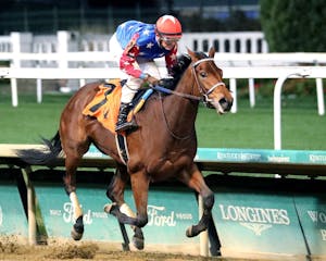 Golden Gamble wins at Churchill Downs. 