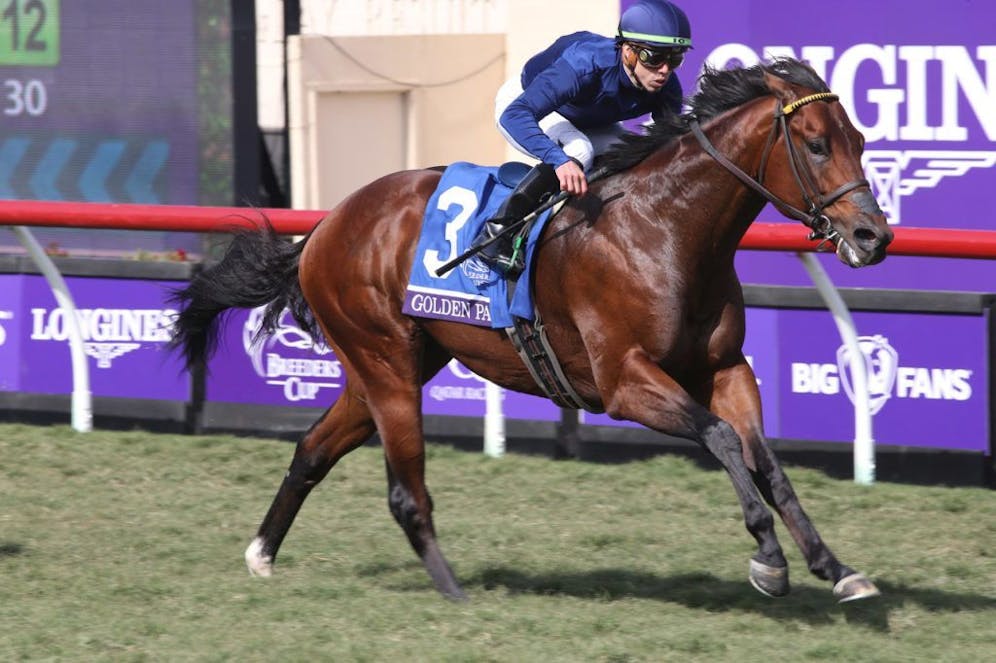 2024 Breeders’ Cup trainer and jockey trends TwinSpires