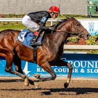 Golden Tempo wins at Fair Grounds.