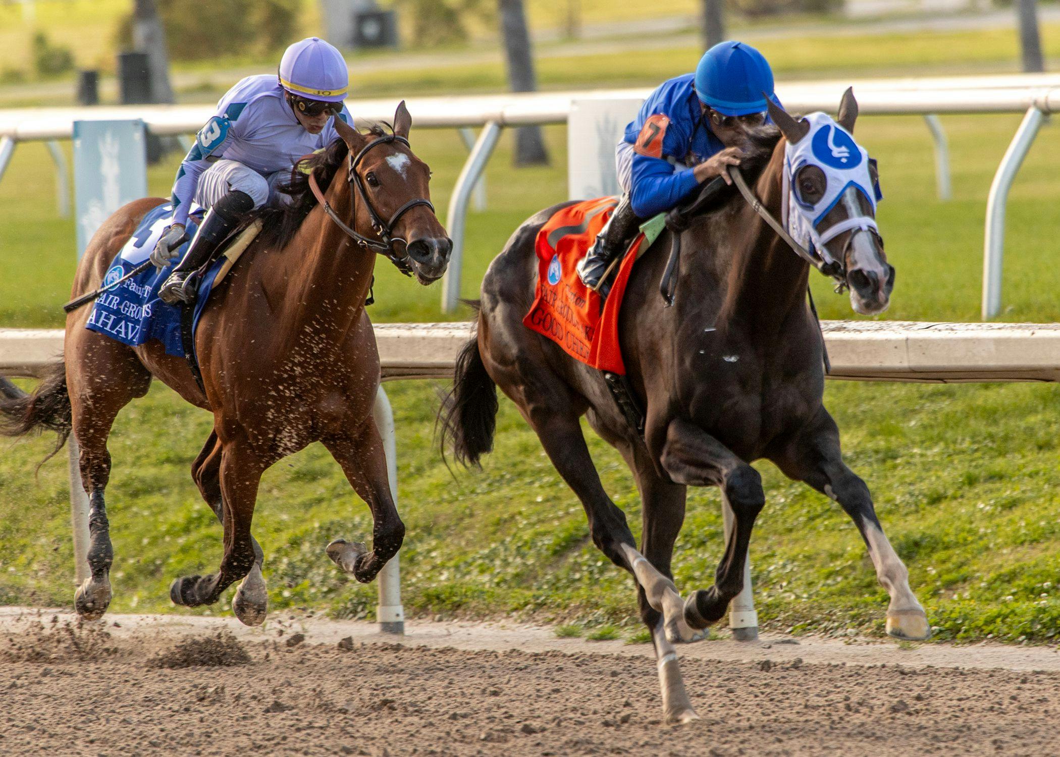 Good Cheer wins the Fair Grounds Oaks at Fair Grounds.