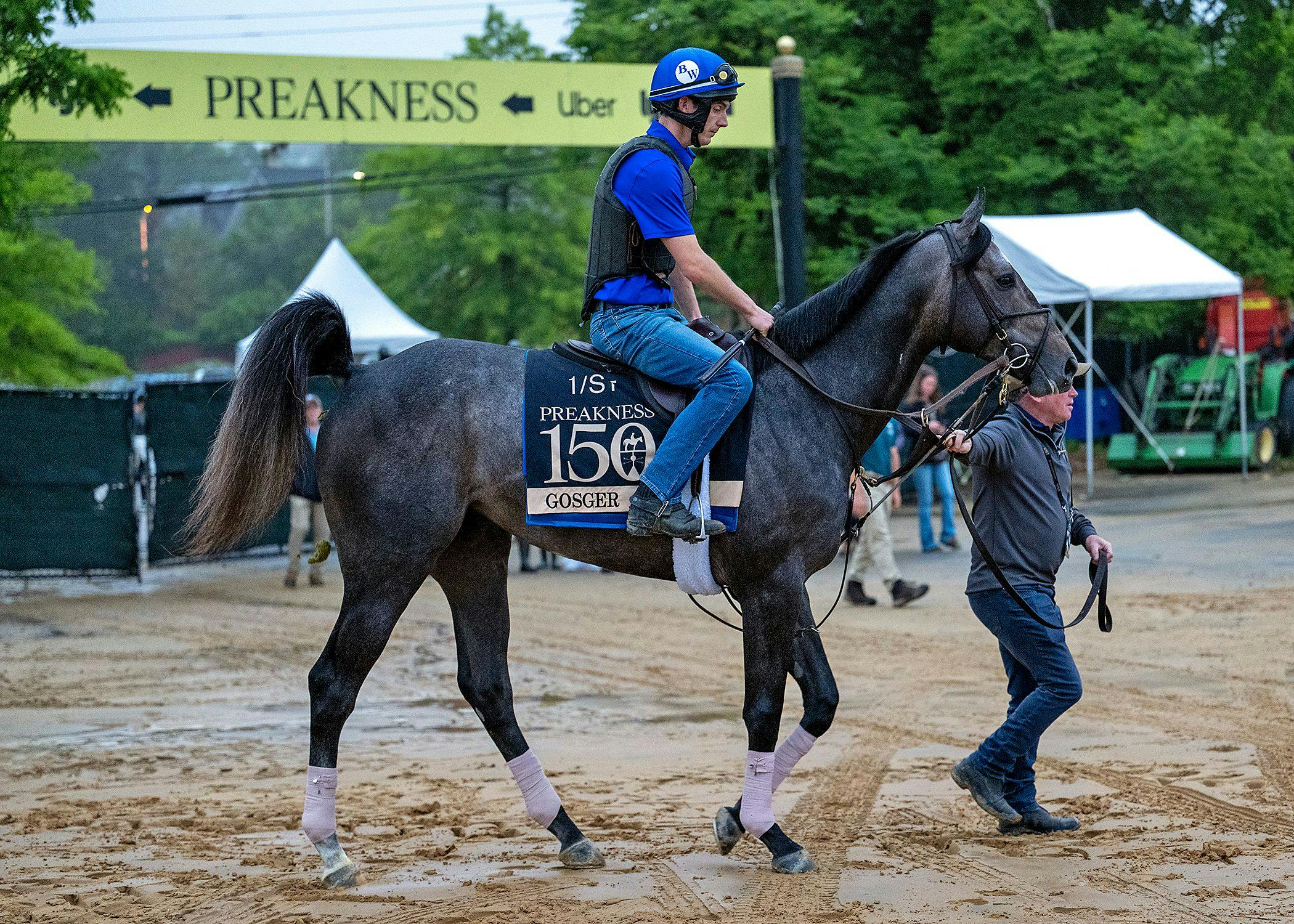 Gosger trains at Pimlico ahead of Preakness 150 (Photo by MJC/Jerry Dzierwinski)
