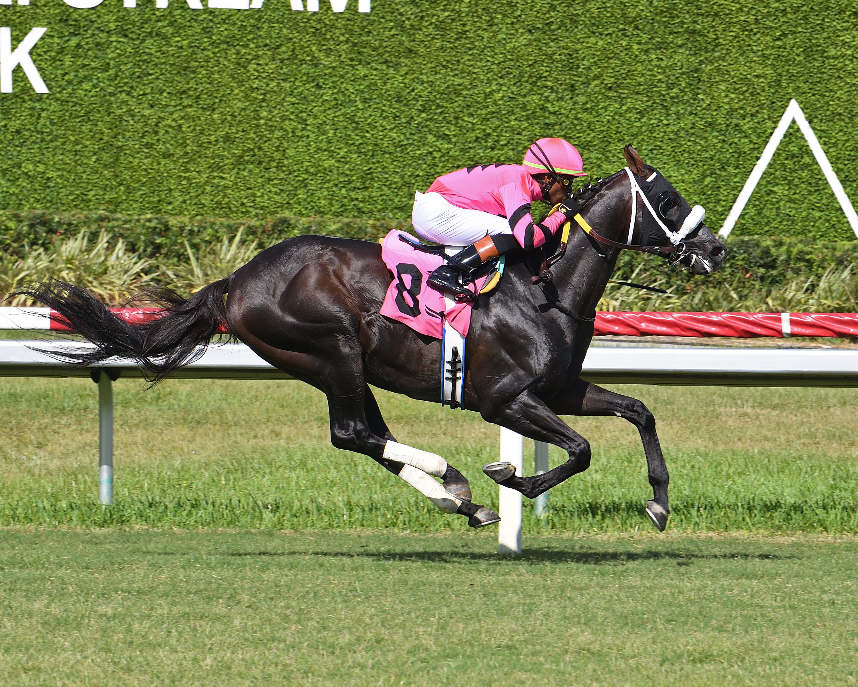 Gran Oriente wins the Soldier's Dancer H. at Gulfstream Park