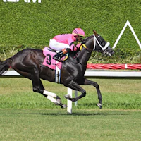Gran Oriente wins the Soldier's Dancer H. at Gulfstream Park